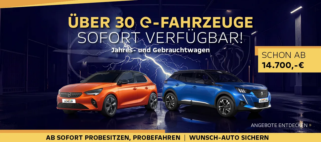 e-Fahrzeuge Abverkaufsaktion