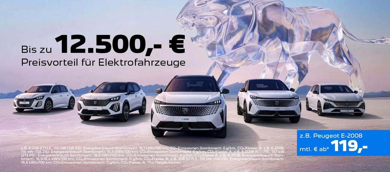 Peugeot e-Förderung