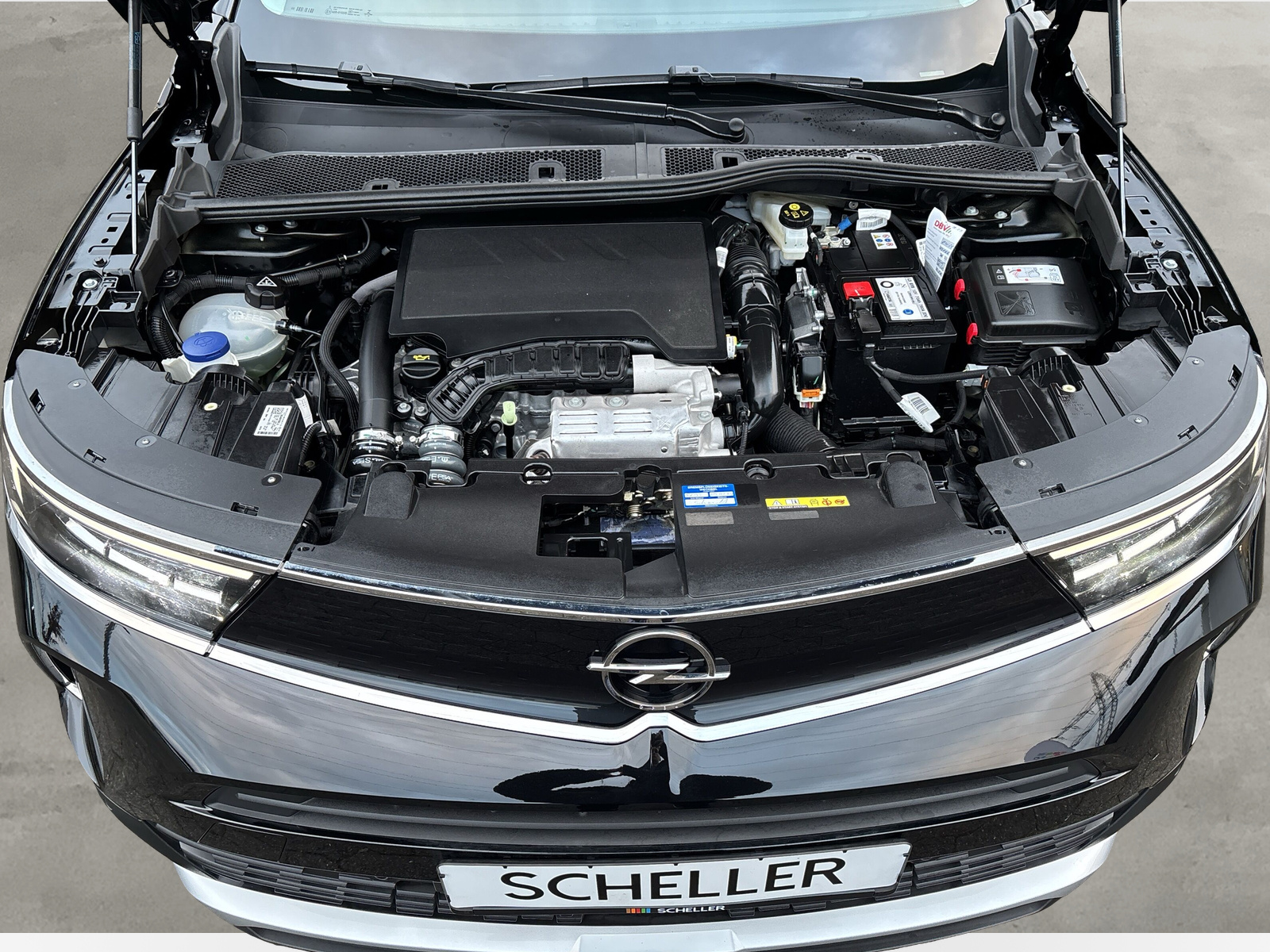 Mokka Elegance *LED*SHZ*