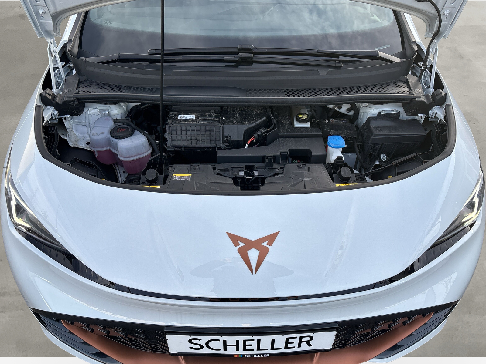 Born 150 kW *SHZ*ACC*NAVI*