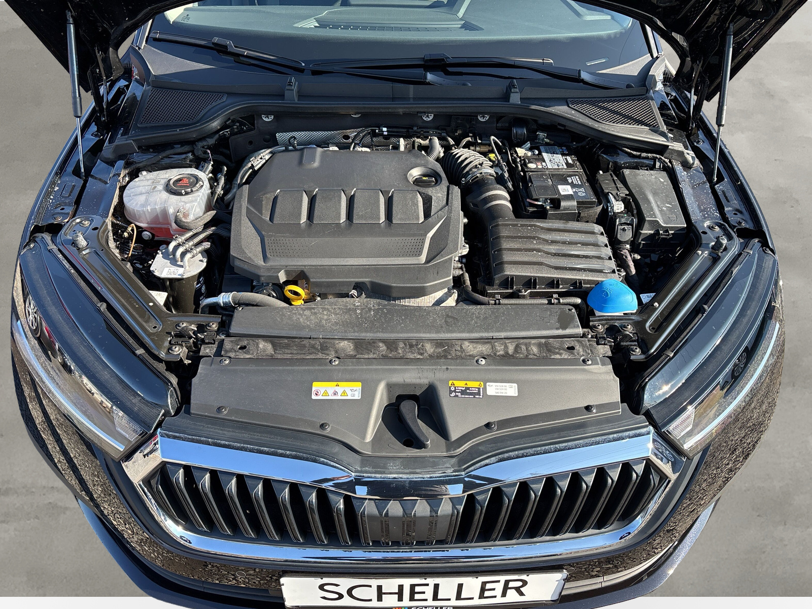 Octavia Lim. Ambition *SHZ*LED*NAVI*