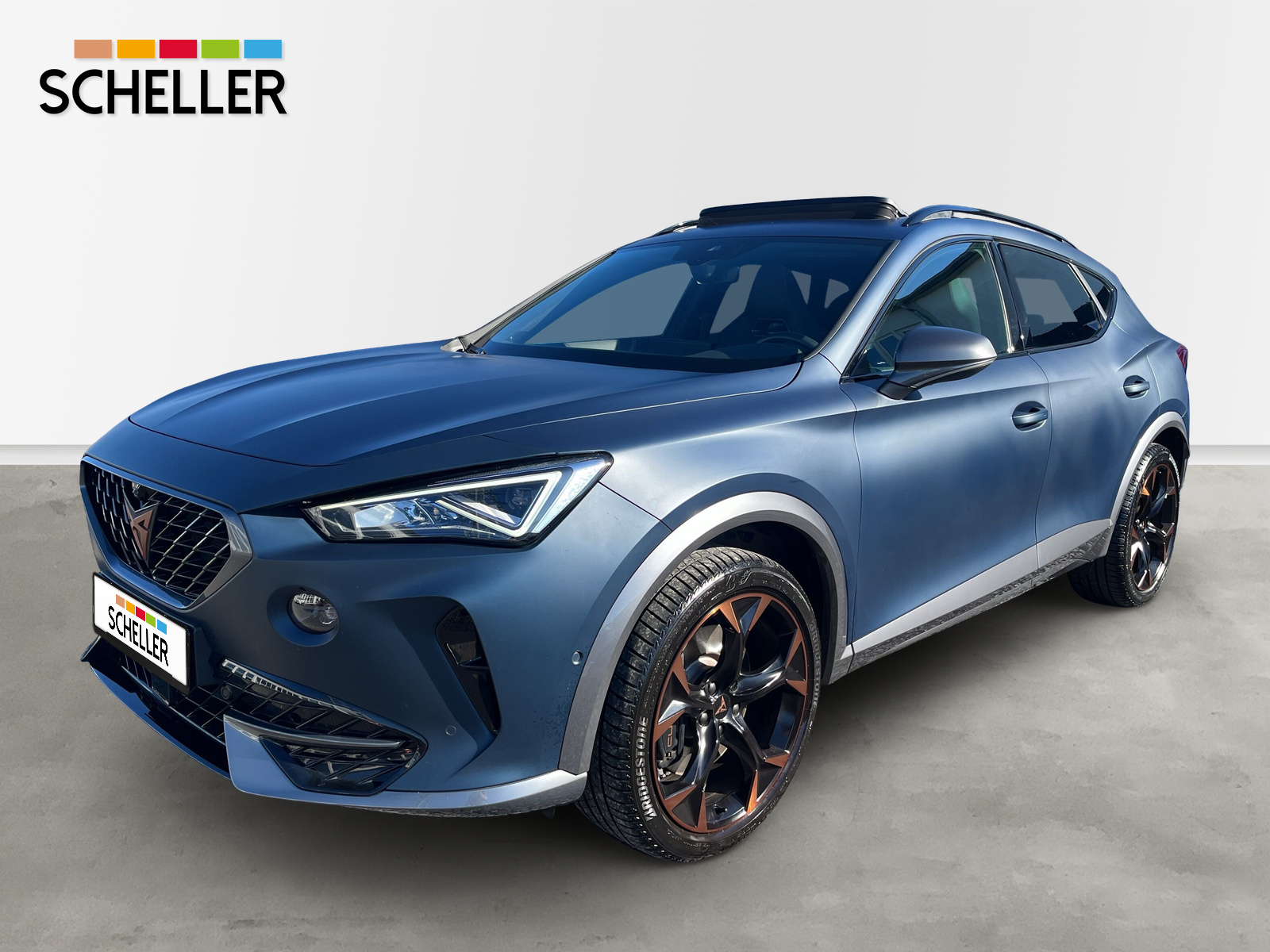 Formentor 2.0 TSI VZ 4Drive *MATT-LACK*PANO*BEATS*LEDER...