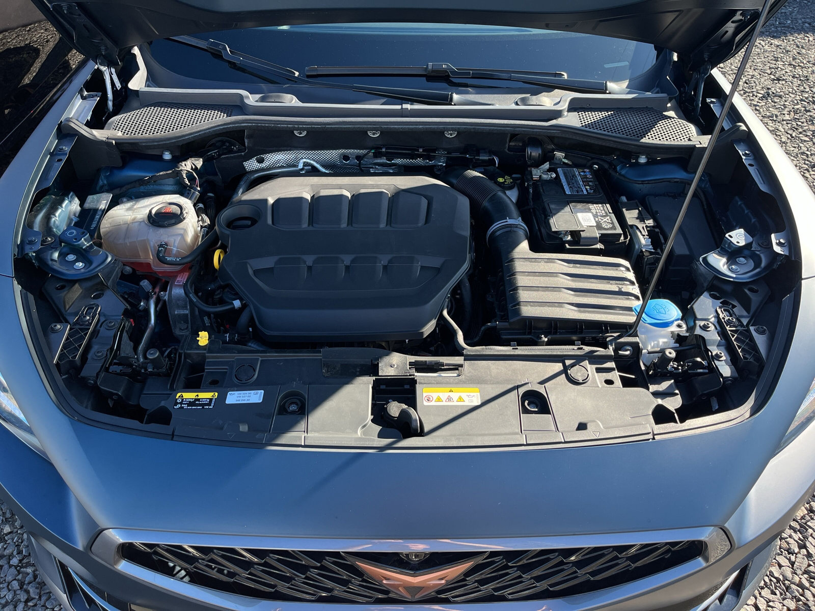 Formentor 2.0 TSI VZ 4Drive *MATT-LACK*PANO*BEATS*LEDER*