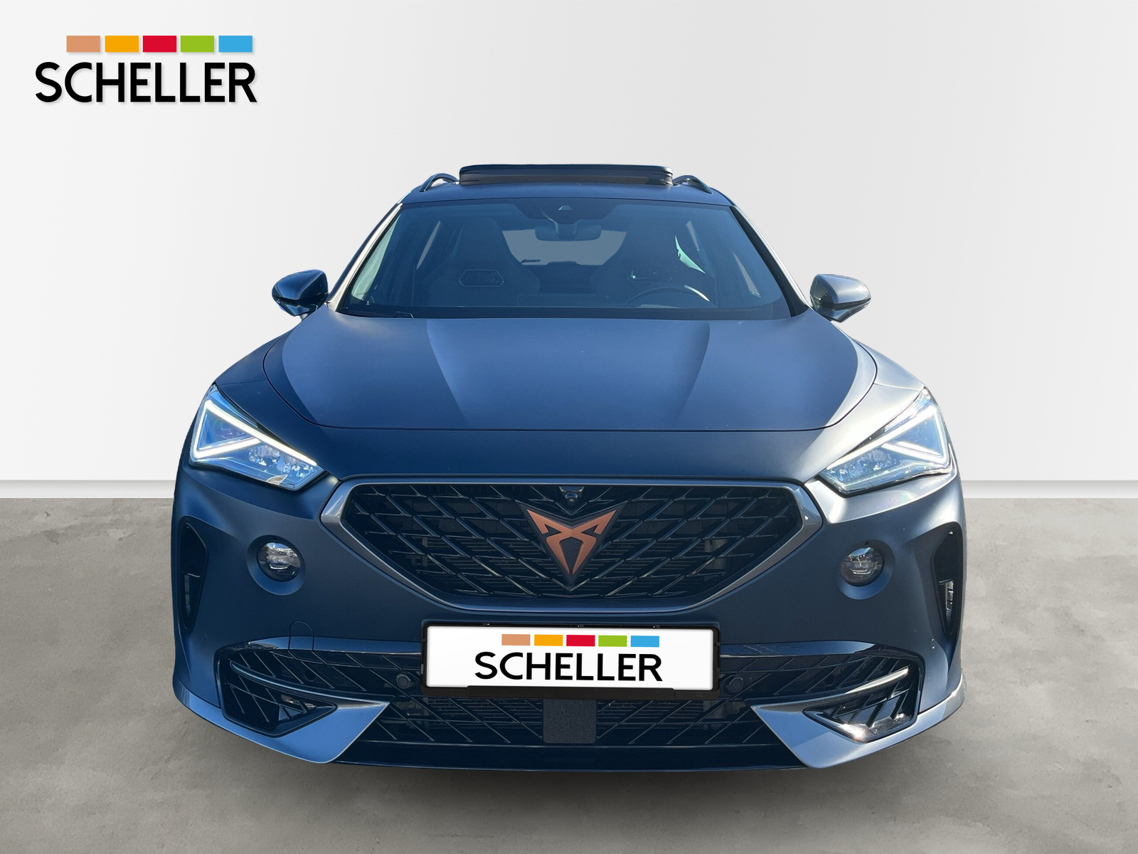 Formentor 2.0 TSI VZ 4Drive *MATT-LACK*PANO*BEATS*LEDER*