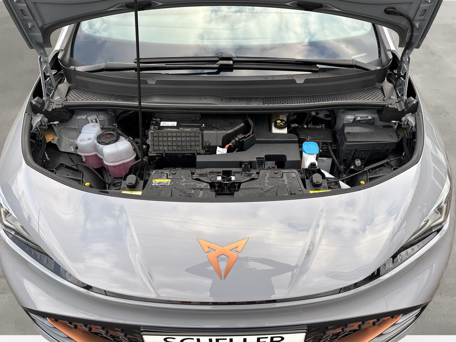 Born 150 kW *SHZ*LED*