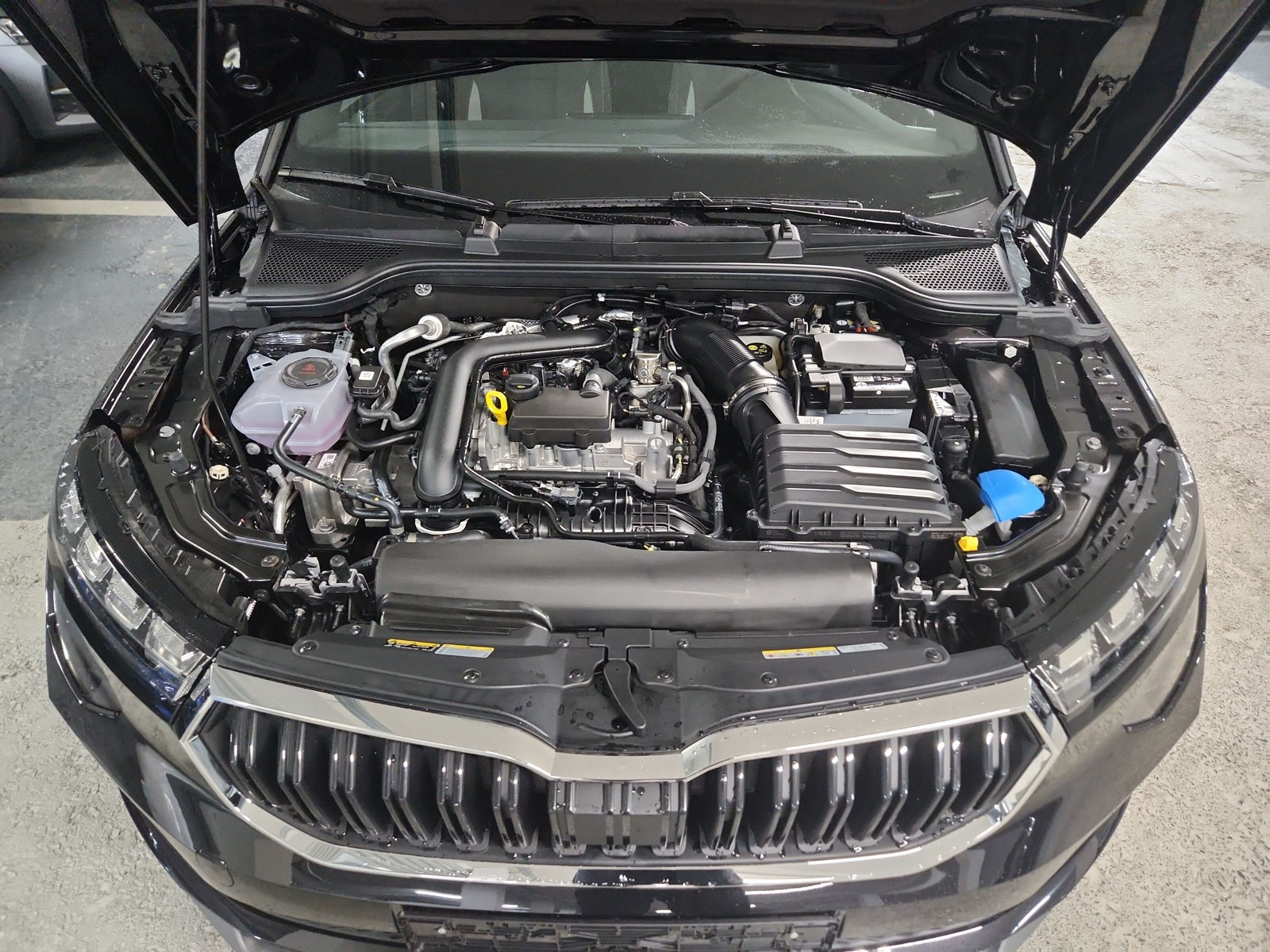 Kamiq Tour 1,0 TSI 85 kW 7-Gang-DSG *Aktionsfahrzeug*