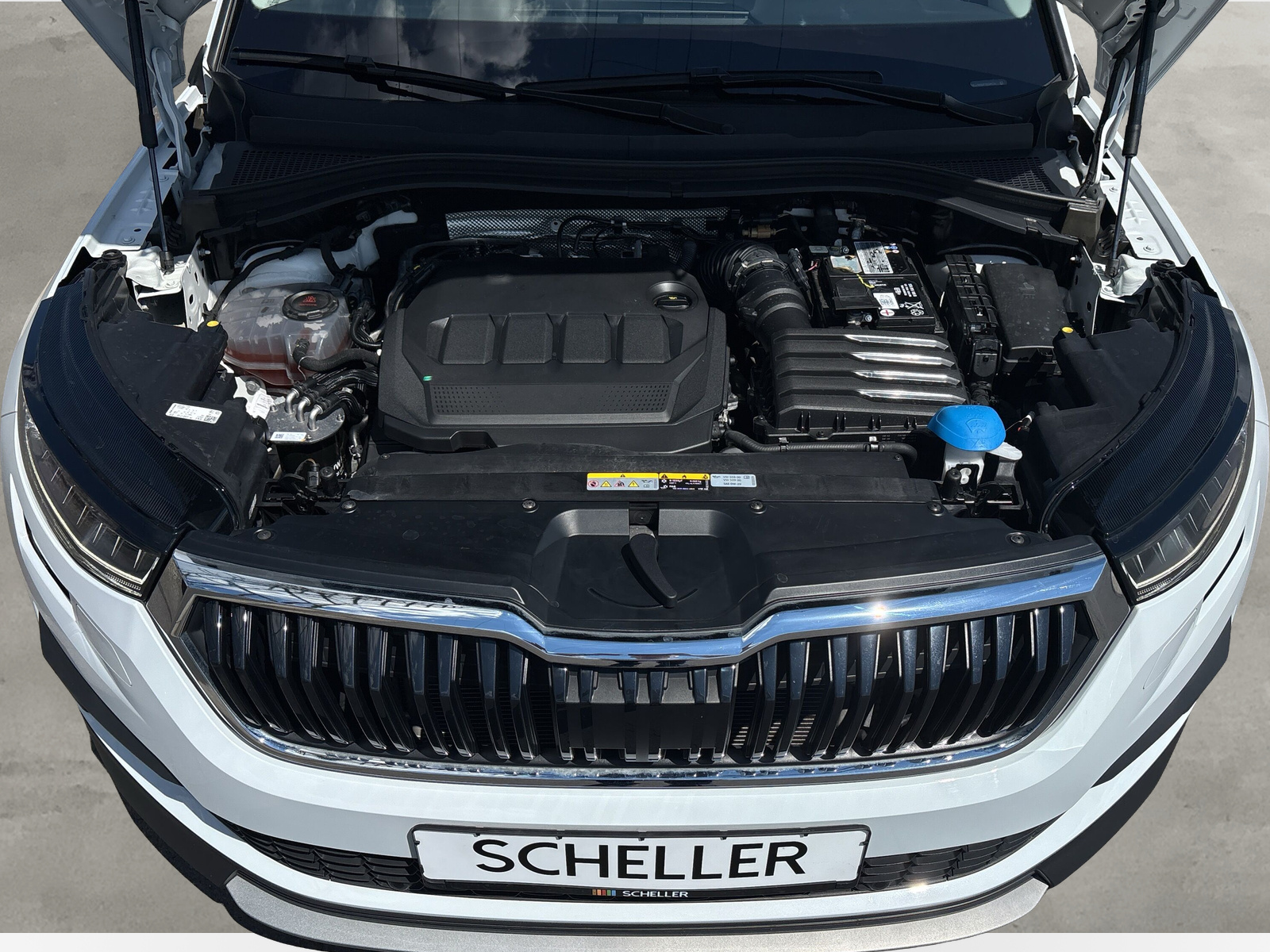 Kodiaq Tour *SHZ*LED*AHK*