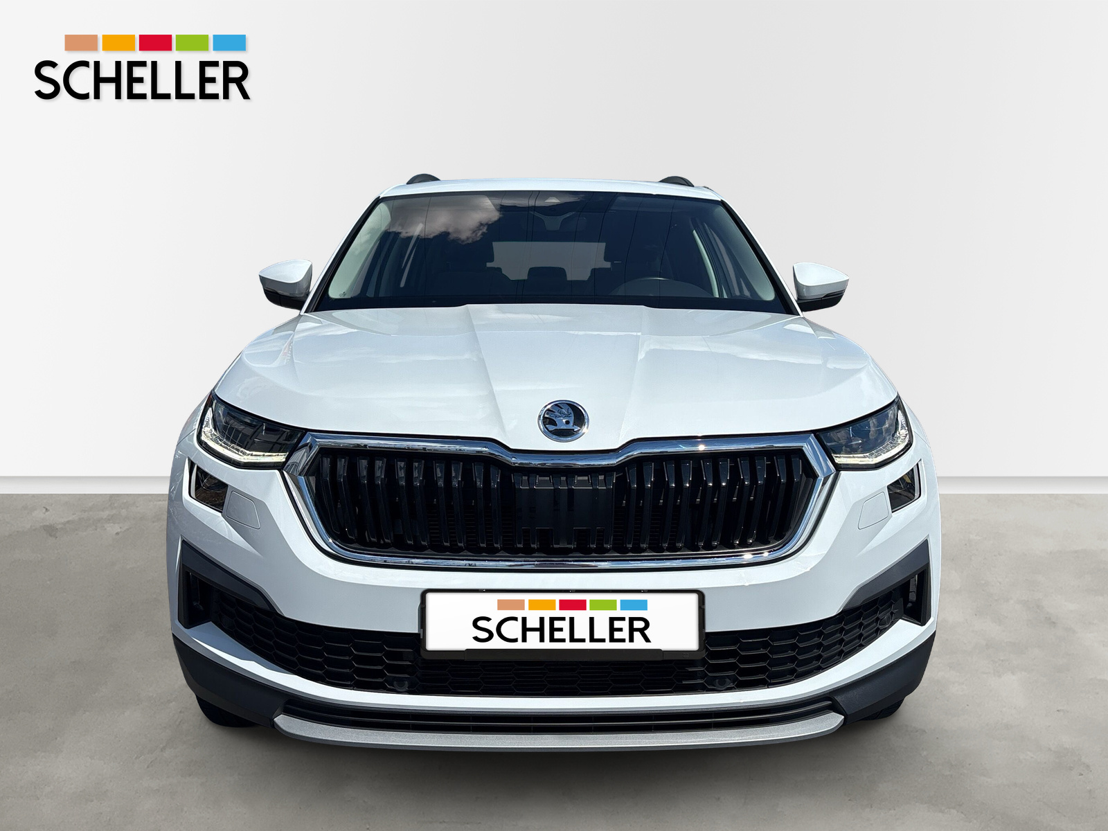 Kodiaq Tour *SHZ*LED*AHK*