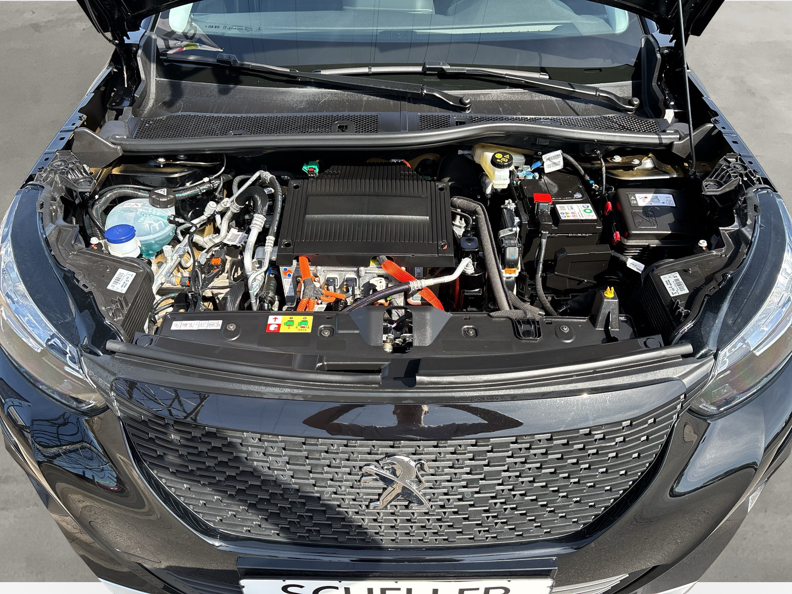 2008 e- Active *SHZ*