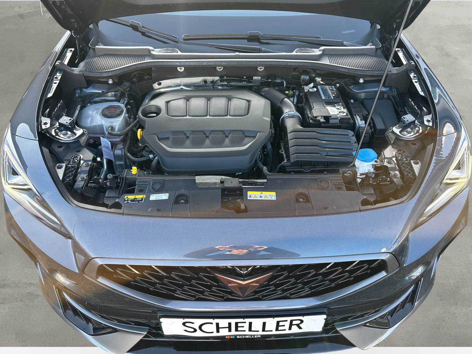 Formentor VZ 4Drive 2.0 TSI DSG *AHK*PANO*BEATS*360-GRAD*