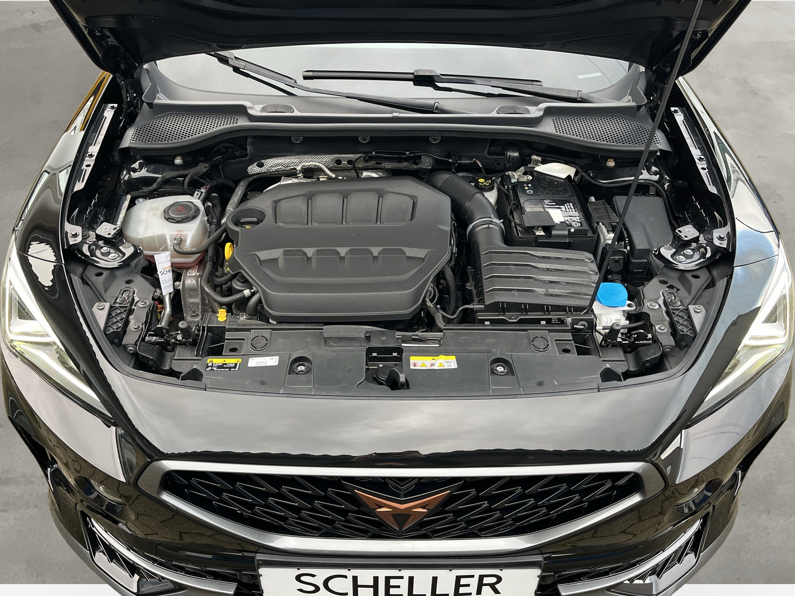 Formentor VZ 4Drive 2.0 TSI DSG *BEATS*BREMBO*PETROL-LEDER*