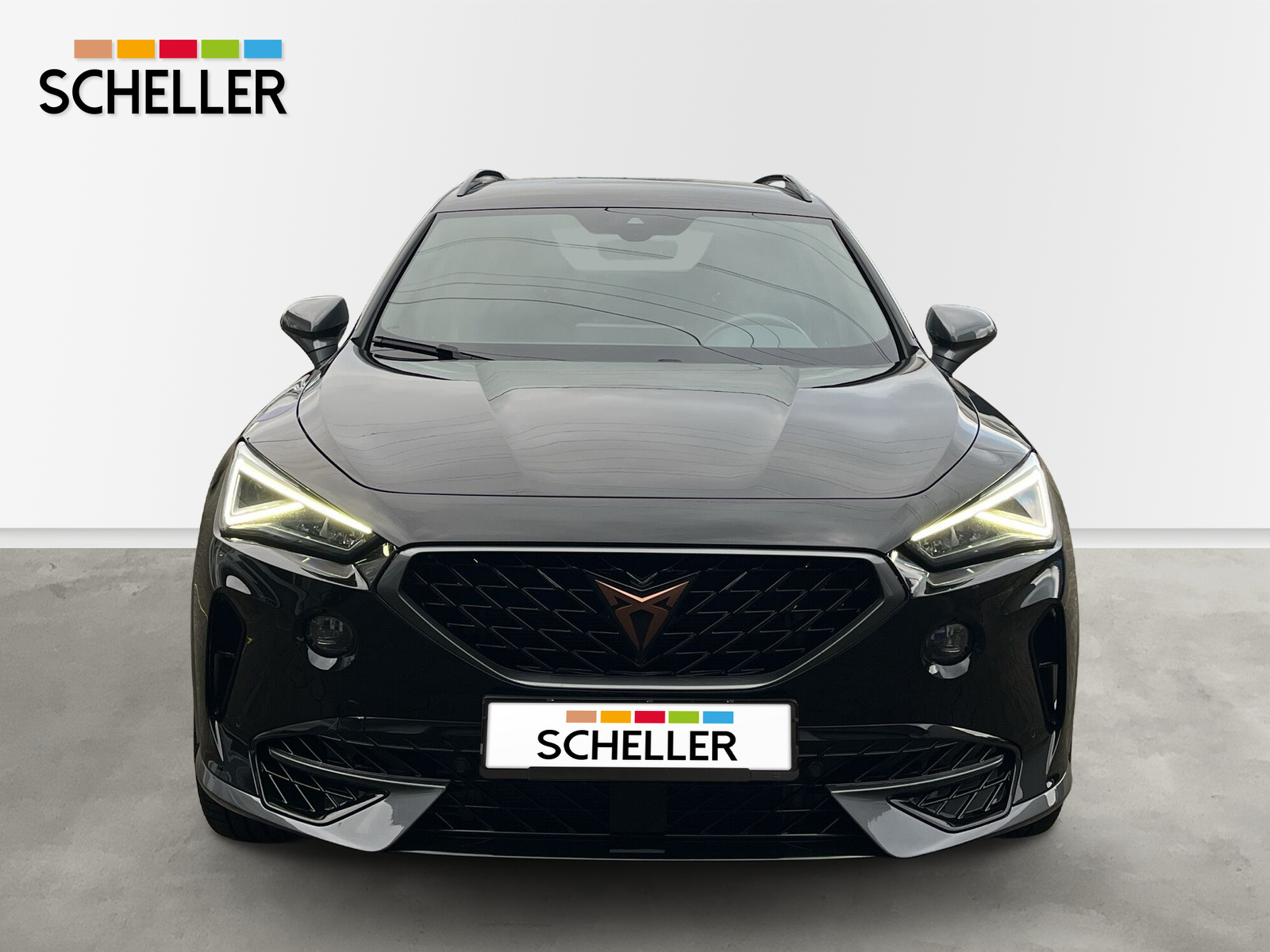 Formentor VZ 4Drive 2.0 TSI DSG *BEATS*BREMBO*PETROL-LEDER*