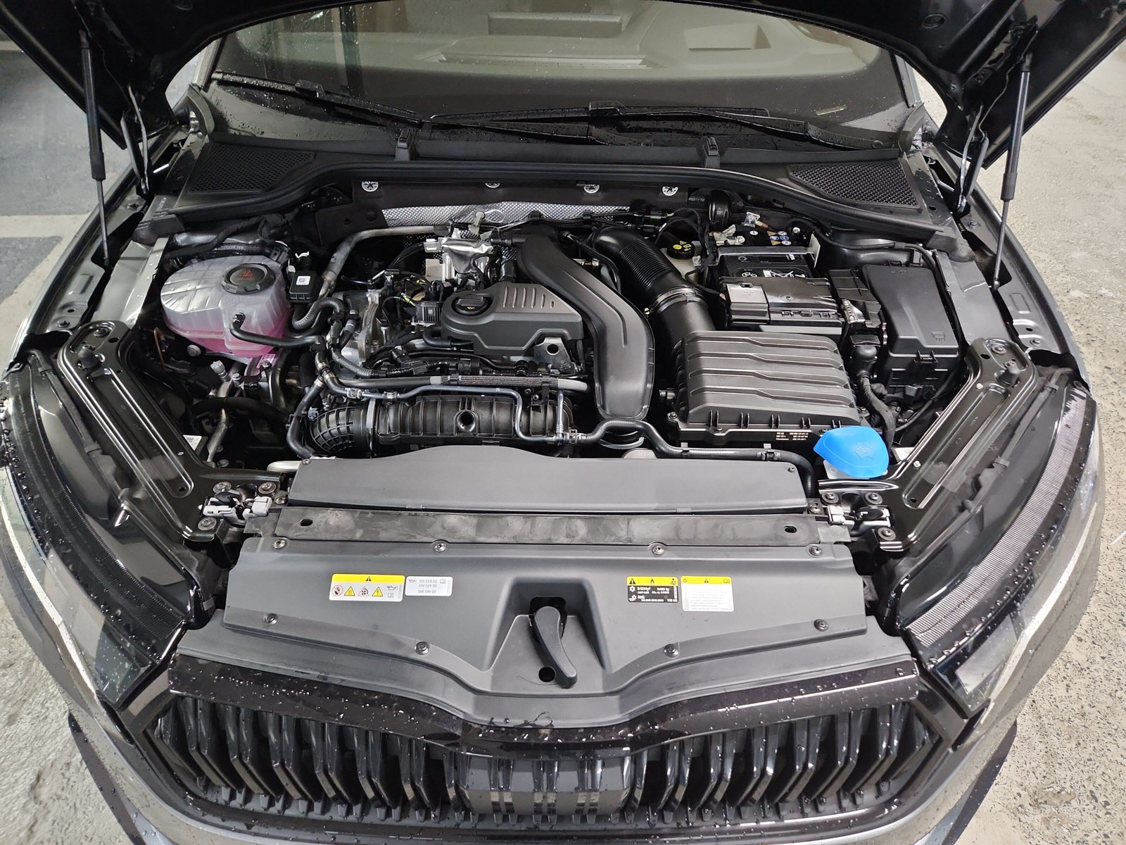 Octavia Combi Sportline 1,5 TSI 110 kW 7-Gang-DSG mHEV