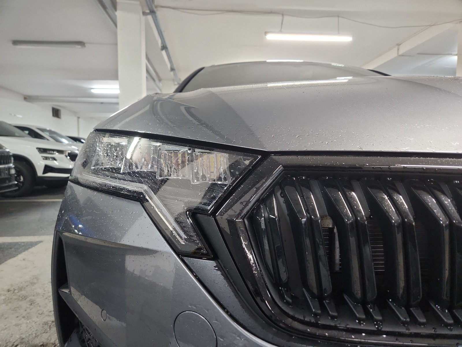 Octavia Combi Sportline 1,5 TSI 110 kW 7-Gang-DSG mHEV