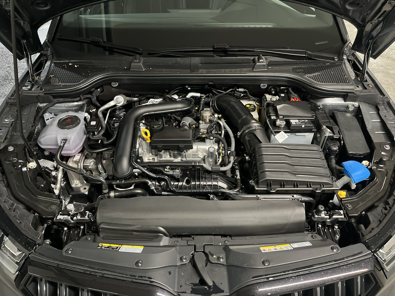 Kamiq Monte Carlo 1,0 TSI 85 kW 7-Gang-DSG *Aktionsfahrzeug*