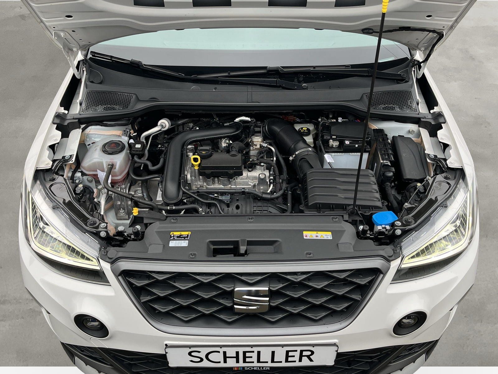 Arona FR Beasts 1.0 TSI DSG *LED*SHZ*VAI*KAMERA*