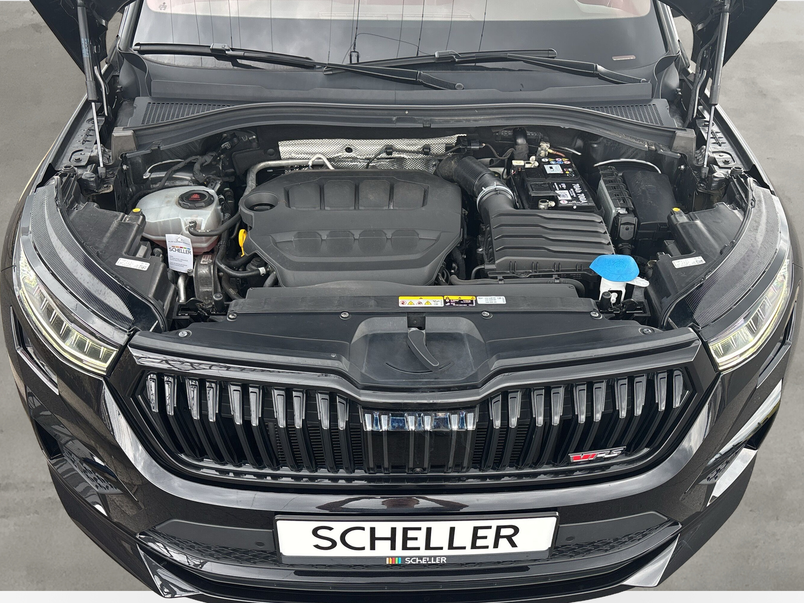 Kodiaq RS 4x4 *SHZ*LED*AHK*