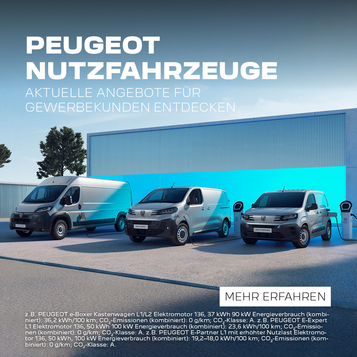 Online Peugeot Nutzfahrzeuge Peugeot Nutzfahrzeug Angebote