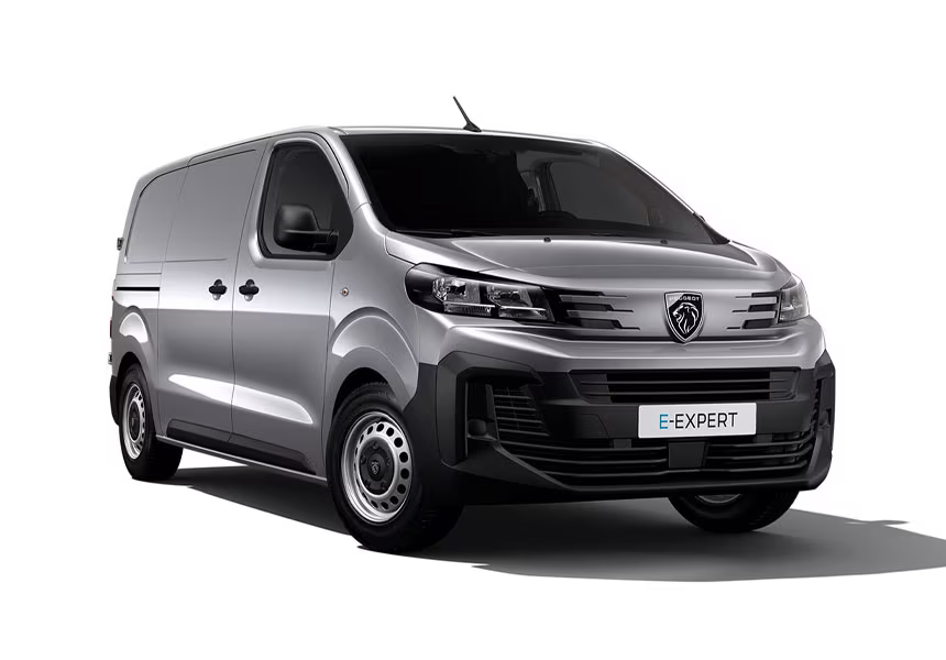 Peugeot Expert Kastenwagen